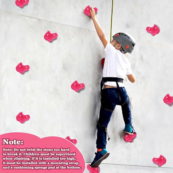 veimia Rock Climbing Holds for Kids, 10PCS Extra Large Climbing Wall Grips with Mounting Hardware and Hex Wrench, Indoor Outdoor Playground Rock Wall for Wooden Board, Weight Capacity 230 lbs