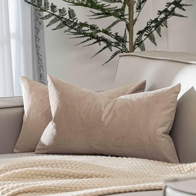 12x20 Throw Lumbar Pillow Covers Decorative Cushion Covers Set of 2,Cloud | Soft Velvet Pillow Cases with Invisible Zipper for Modern Couch Sofa Bed Living Room Bedroom Home Decor