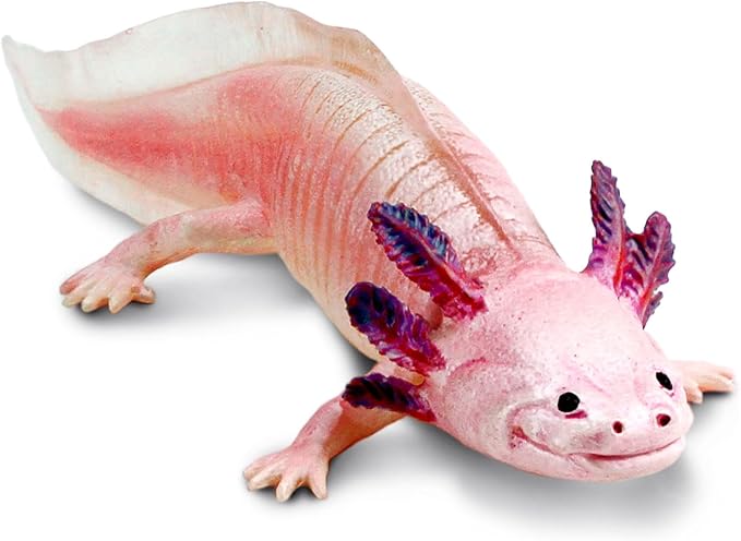 Safari Ltd. Axolotl Figurine - Realistic 7" Model Figure - Educational Toy for Boys, Girls, and Kids Ages 3+