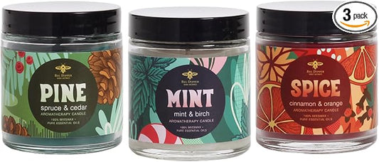 Big Dipper Wax Works Holiday Apothecary Glass Candle Set – Mint, Pine & Spice Scents – 100% Pure Beeswax Aromatherapy 3-Pack (Peppermint Birch, Spruce Fir, Cinnamon Orange Clove, 3.2 oz Each)