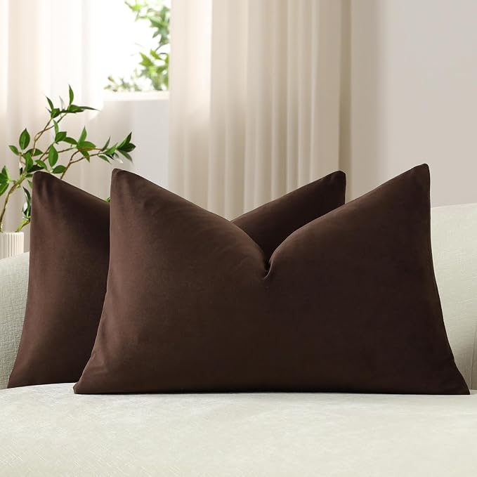 Lumbar Pillow Covers 12x20 Chocolate Brown: Pack of 2 Cozy Soft Velvet Rectangular Modern Luxury Decorative Throw Pillow Cases for Sofa Couch Living Room Bed Home Decor
