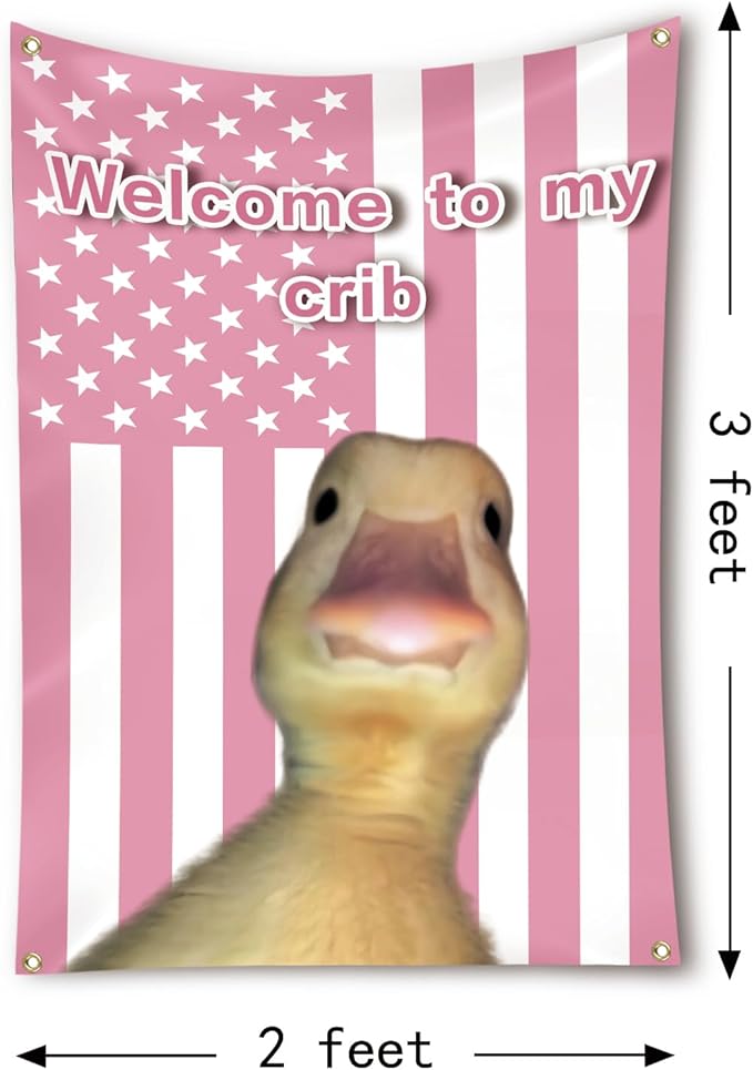 Welcome to My Crib Flag 2x3 Feet Funny Flags for Bedroom Cool Dorm Wall Flag with Brass Grommets for Teenagers Children Room Decoration
