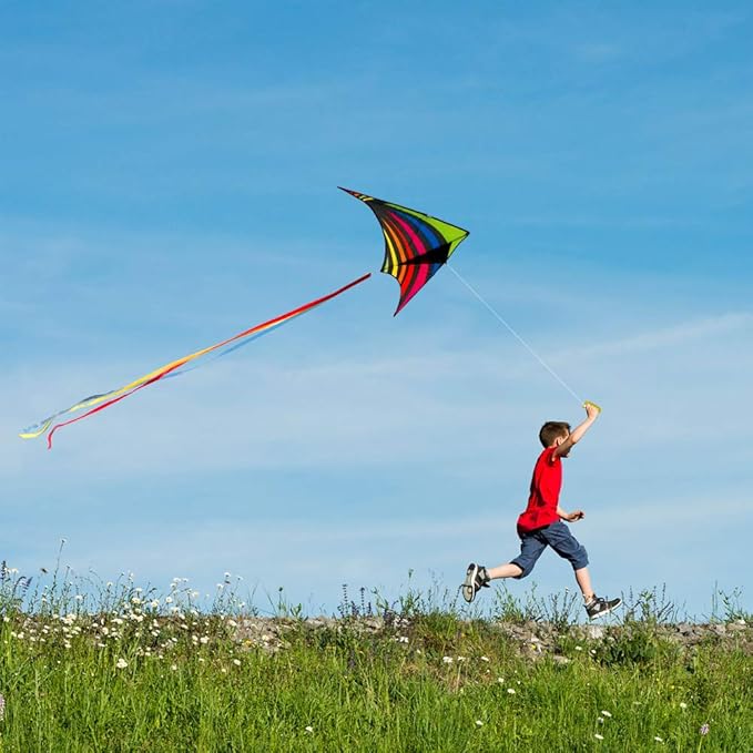 Mint's Colorful Life Delta Kite for Kids & Adults, Extremely Easy to Fly Kite for Beach Trip, Best Kites for Beginners, 300ft String Handle Included