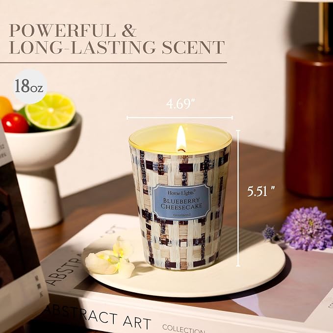 HomeLights Scented Candles for Women & Men, 6.7oz Candle Jars Aromatherapy Single Wick Candle, Ideal for Rustic Modern Home Decor and Gifts, Blueberry Cheesecake