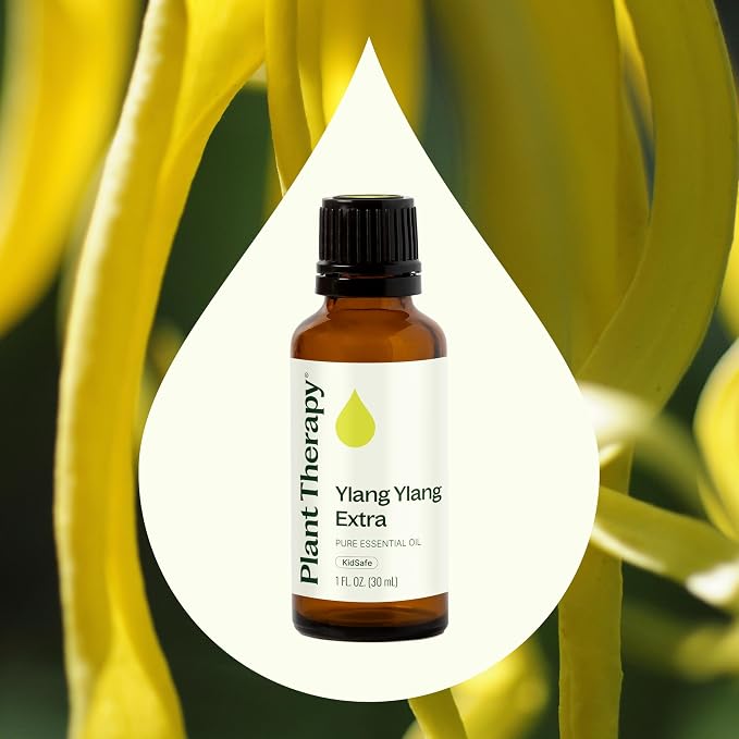 Plant Therapy Ylang Ylang Extra Essential Oil 30 mL (1 oz) 100% Pure, Undiluted, Stress Relief, Mood Boosting