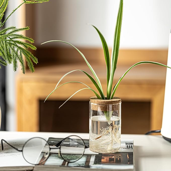 Separated Desktop Glass Flower Vases - Ideal Plants Propagation Stations for Living Room, Bedroom Decoration,Home Decor (2)