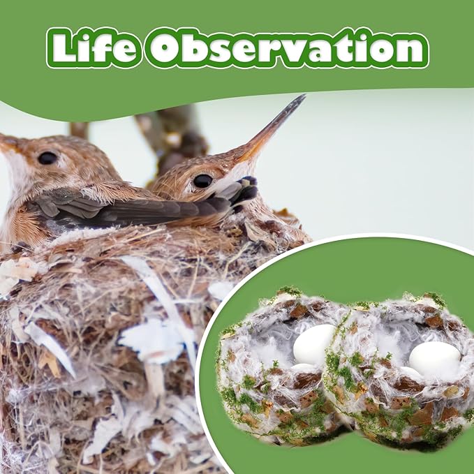 CHARTEKS Bird Nest Craft Kit with LED String Lights - DIY Nature Arts and Crafts STEM Project for Kids & Adults, Creative Home Decor Gift for Boys Girls Ages 8-12