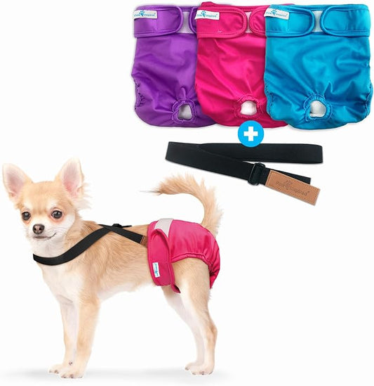 Paw Inspired Reusable Dog Diapers Bundle, XS, 3-Pack with Suspenders | Washable Diapers in Assorted Colors with White Lining Combo Pack with Black Suspenders