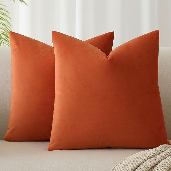 Throw Pillow Covers Set of 2 Velvet Cushion Covers 14x14,Burnt Orange | Decorative Pillow Covers with Invisible Zipper for Couch Sofa Bed Living Room Bedroom Home Decor Halloween