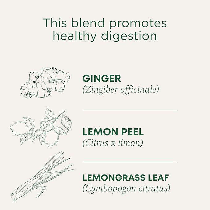 Traditional Medicinals Organic Lemon Ginger Herbal Tea, Promotes Healthy Digestion, Kosher, Non-GMO, Caffeine-Free, Compostable - 96 Count (Pack of 6)