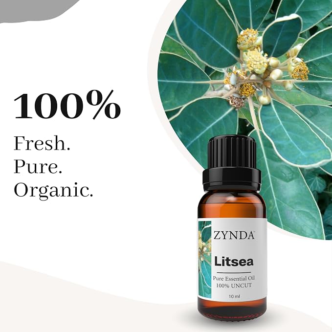 Litsea Essential Oil 10ml – 100% Pure & Natural Skin Oils for Aromatherapy & Diffuser – Premium Grade Litsea Cubeba Essential Oil for Skin, Body, Massage & DIY Use
