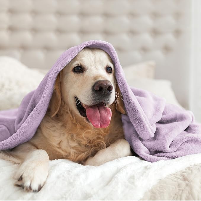 BEDELITE Fleece Blanket Soft Plush Throw for Couch Lilac 50"x60" | Ultra Soft Fleece, Plush Microfiber, Lightweight Warmth, All Season Comfort, Fade Resistant, Machine Washable, Couch Sofa Bed