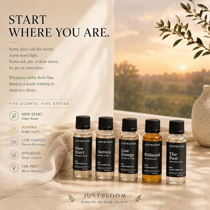 Hotel Oil Diffuser Essential Oils Set: 5-Pack Aromatherapy Oil Gift Set for Home Diffusers, Relaxing Fragrance Collection for Sleep, Office & All Seasons (Five Scent, Fiver Stas)