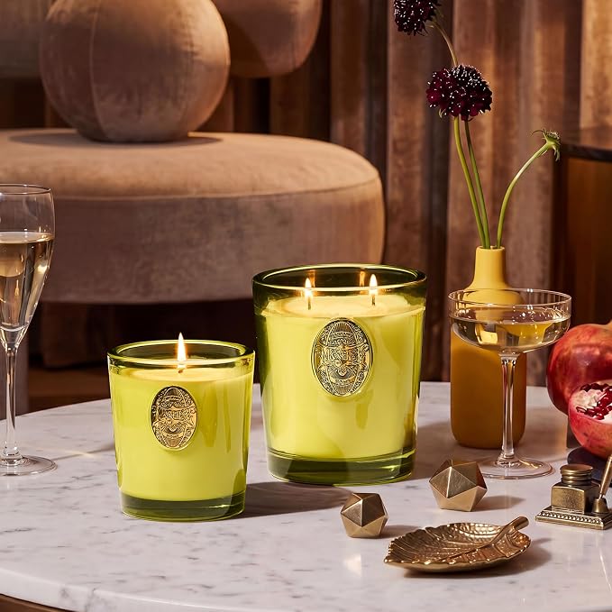 M&SENSE Natural Soy Candle | Seattle Rainforest & Matcha Green | 9.2 oz, 50H Burn Time | Luxury Scented Candle for Relaxation, Gifting, Home Décor | Ideal for Bedroom, Office, Party Ambiance