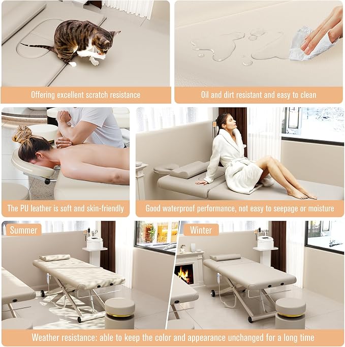 Dolonm Electric Massage Table, Heavy Duty Electric Lift and Backrest 2 Motor Adjustable for Treatment/Medical Spa/Facial Bed/Beauty Bed/Massage and More - 31.2 Wide x 75 Long, Beige Gray
