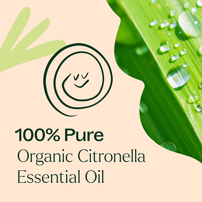 Plant Therapy Citronella Organic Essential Oil 10 mL (1/3 oz), 100% Pure, USDA Certified Organic, Undiluted, Natural Aromatherapy for Outdoor Pests and Immune Support