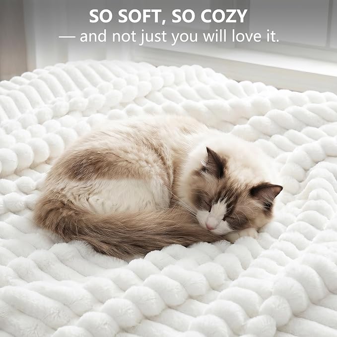 Off White Twin Blanket for Bed & Couch, 60 x 80 Inch | 300GSM Ribbed Fleece Blanket, Soft, Cozy & Lightweight, OEKO-TEX Certified, All-Season Use for Travel, Dorm & Home Decor