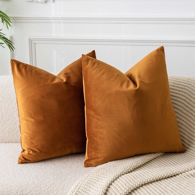 JUSPURBET Rust Velvet Throw Pillow Covers 20x20 inch Set of 2 for Living Room Couch Bedroom Decorative Luxury Soft Cushion Cases with Invisible Zipper