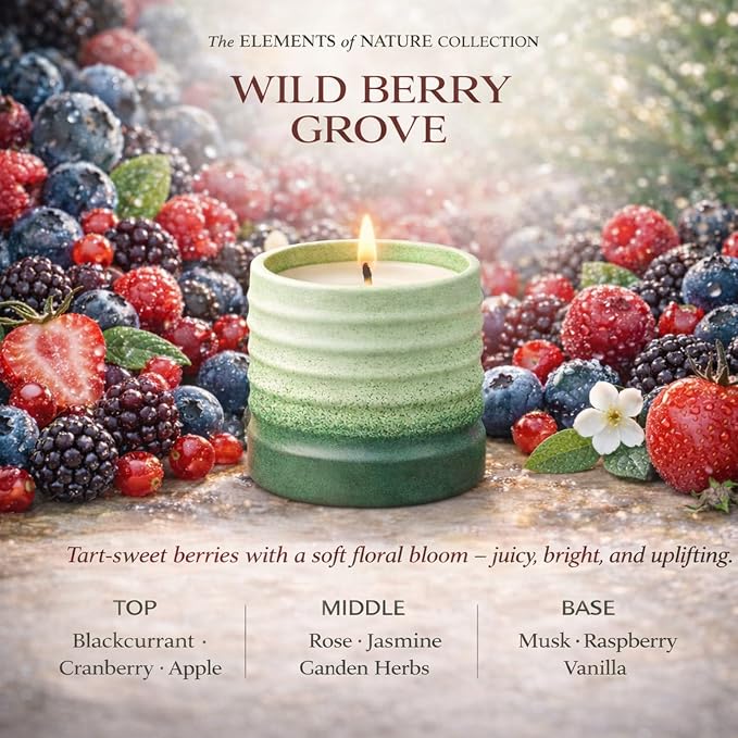 Wild Berry Grove Scented Soy Candle – Decorative Gradient Ceramic Jar Candle, Non Toxic Aromatherapy Candle, Long Lasting Candle Gift for Women, Home Decor