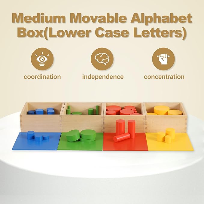 MONTESSORI OUTLET Knobless Cylinders (Set of 4) for 3-6 Years Montessori Education at School and Home