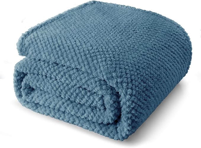Whale Flotilla Soft Fleece Queen Size Bed Blanket, Slate Blue | 90x90 Inch, Suitable for Bed, Fluffy Fuzzy Jacquard Blankets for All Season, Lightweight and Cozy
