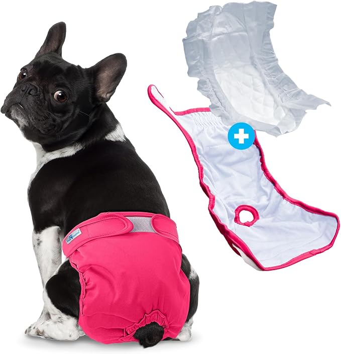 Paw Inspired Reusable Dog Diapers Bundle, XS, 3-Pack with Suspenders | Washable Diapers in Assorted Colors with White Lining Combo Pack with Black Suspenders