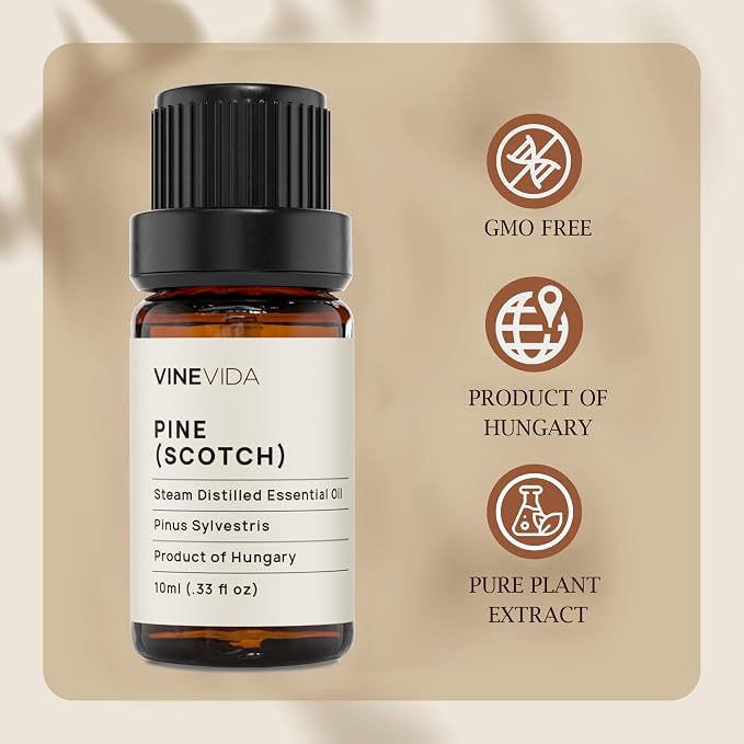 VINEVIDA Pine Scotch Essential Oil - Undiluted - DIY Candle Scents - 10 mL for Soap Making
