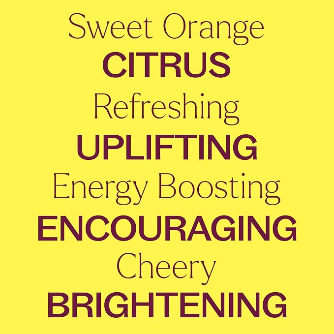 Plant Therapy Sweet Orange Essential Oil 100% Pure, Undiluted, Natural Aromatherapy, Therapeutic Grade 100 mL (3.3 oz)