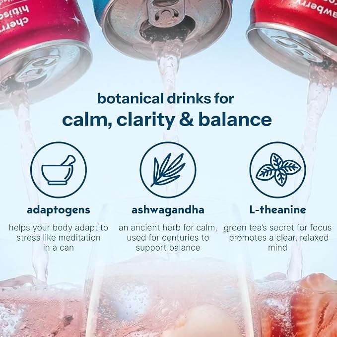 Moment Adaptogen Drink (Shark Tank) - Calm, Clarity & Relaxation with L-Theanine & Ashwagandha - Non Alcoholic Drinks for Adults - Sparkling Botanical Soda - 0 Sugar 0 Caffeine - 12 Pack 11.5 fl oz