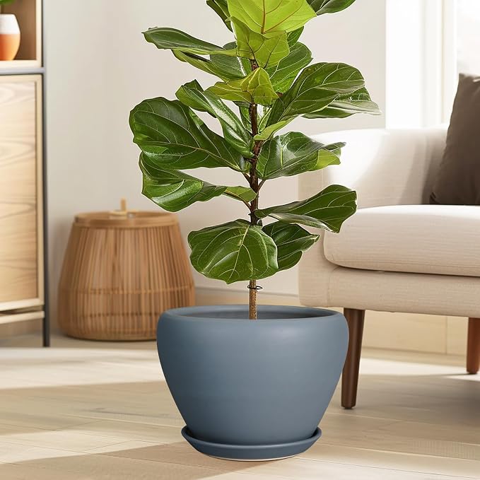 Ceramicfor 10 Inch Plant Pot - Ceramic Planter for Indoor Plants Large Plant Pot with Drainage Hole and Saucer Round Outdoor Planter Modern Flower Pot for Home Decor Gray
