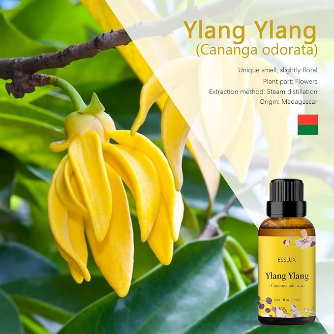 Ylang Ylang Essential Oil, ESSLUX Premium Grade Essential Oils, Perfect for Diffuser, Massage, Soap Candle Making, Home Fragrance, 30 ml