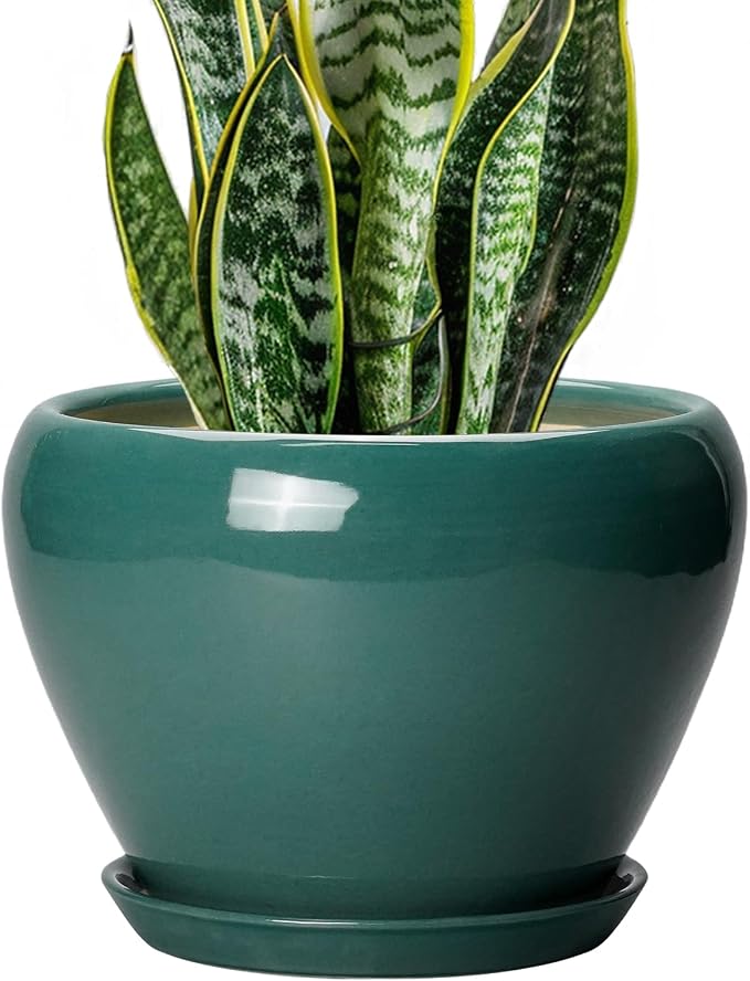 Ceramicfor 8 Inch Plant Pot - Ceramic Planter for Indoor Outdoor Plants, Glaze Modern Round Ceramic Flower Pot with Drainage Hole and Saucer, Gifts for Plant Lover, Home Office Patio Decor, Green