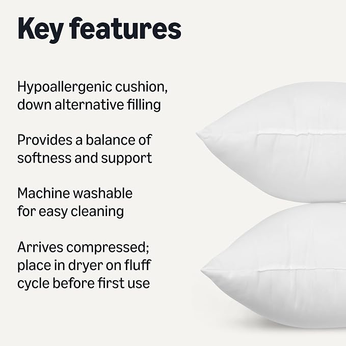 Amazon Basics Square Hypoallergenic Down Alternative Pillow Insert, Machine Washable, Softness and Support, 20 inch, 2-Pack