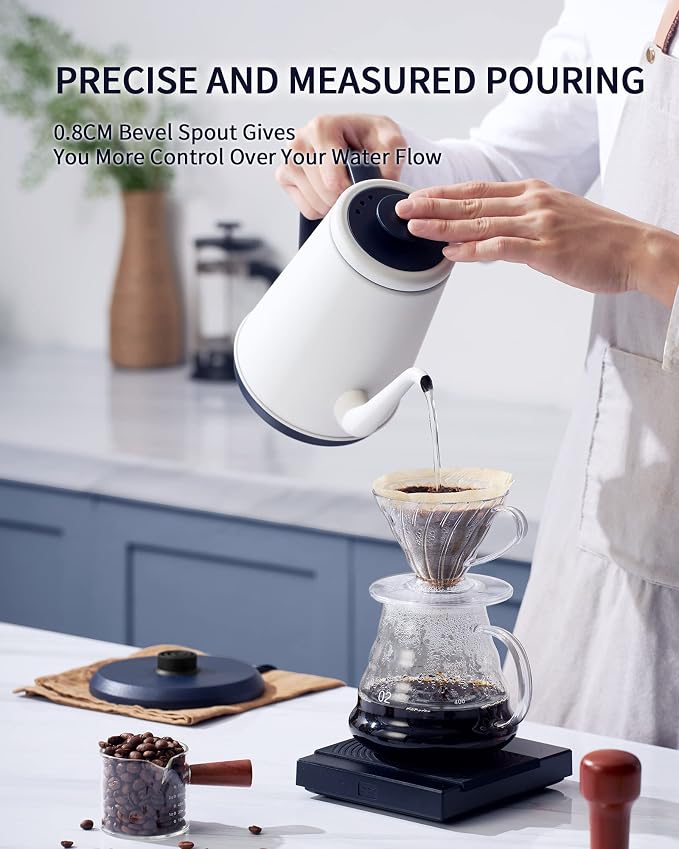 DmofwHi Gooseneck Electric Kettle(1.0L),1000W Electric Tea Kettle of 304 Stainless Steel,Auto Shut off,Coffee Kettle for Pour Over and Tea -White