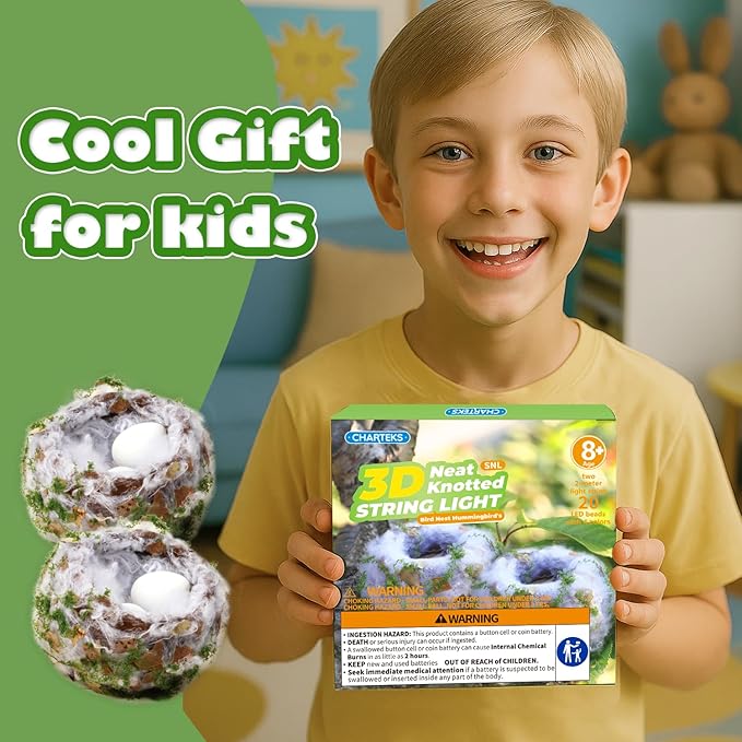 CHARTEKS Bird Nest Craft Kit with LED String Lights - DIY Nature Arts and Crafts STEM Project for Kids & Adults, Creative Home Decor Gift for Boys Girls Ages 8-12