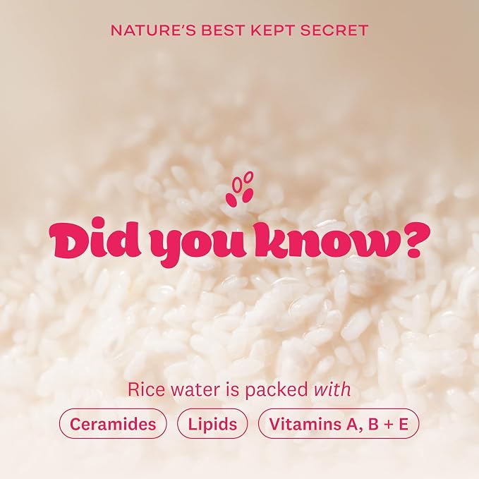 The Face Shop Rice Water Bright Vegan Cream - Instant Moisturization Quick-Absorbing Formula - Vegan, Brightening - Rice Water, Niacinamide, Hyaluronic Acid - Moisturizer Face Cream - Korean Skin Care