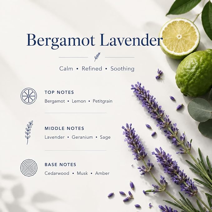 Airkeep Reed Diffuser Set,3.38 fl oz (100 ml) - Bergamot Lavender Oil Diffusers with 8 Reed Sticks, Home Fragrance Reed Diffuser for Bathroom Shelf Decor