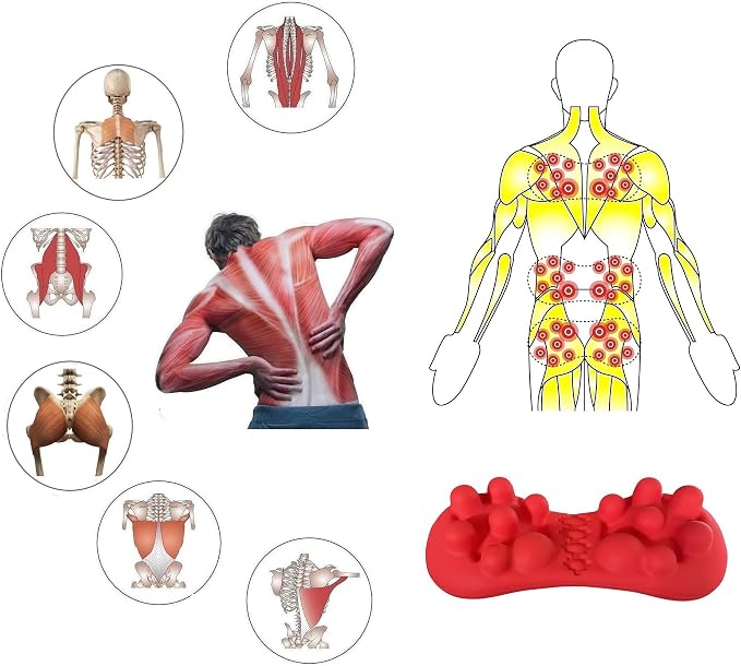 LittleMum Back & Hip Trigger Point Massager for Piriformis, QL, Buttock and Back Muscle Knots, Myofascial Release Tool for Lower-Back Pain, Tightness, Deep Gluteal Tension