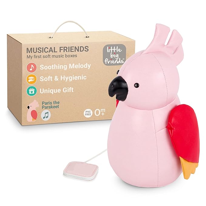 Little Big Friends Musical Baby Toy – Soft Plush Pull-String Cord Classical Toy for Baby & Toddlers | Soothing Stuffed Cuddly Animal Gift | Paris The Parakeet