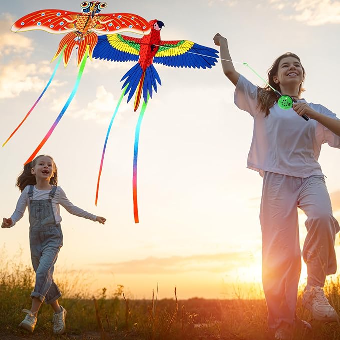 Simgoing 6 Pcs Large Fishing Rod Kite for Kid Adults, 23.62 Inch Vivid Butterfly Kite Bulk, Easy to Fly, Swallow Parrot Goldfish Phoenix Kites for Adults Family in Spring Outdoor Beach Team Building