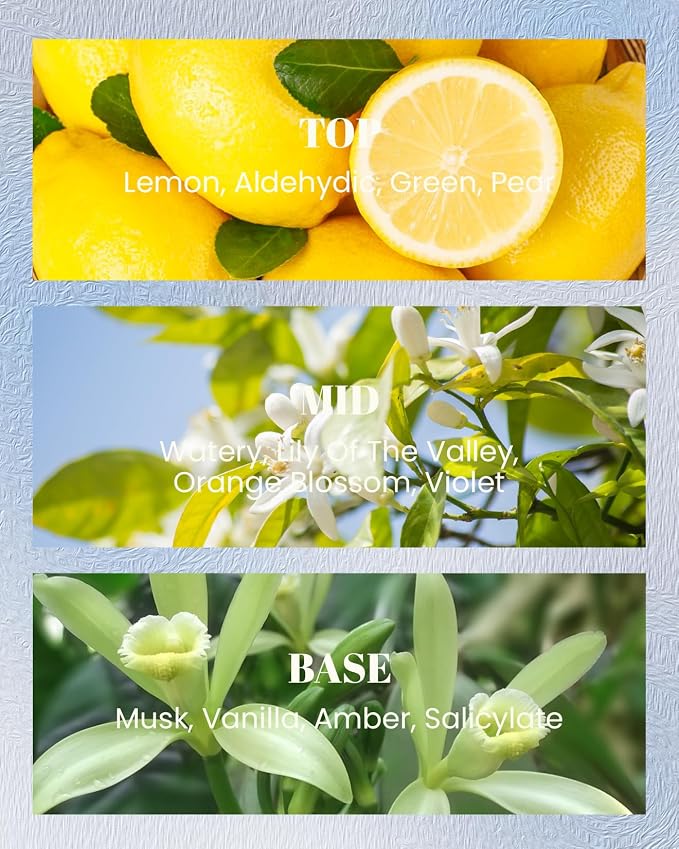 M&SENSE Summer Sea Scented Candles | Vegan Soy Wax, 10oz 42-Hour Burn, Non-Toxic Clean Burn, Fresh Linen Cotton Scents, Relaxing Aromatherapy