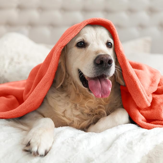 BEDELITE Fleece Blanket Soft Plush Throw for Couch Coral Red 50"x60" | Ultra Soft Fleece, Plush Microfiber, Lightweight Warmth, All Season Comfort, Fade Resistant, Machine Washable, Couch Sofa Bed