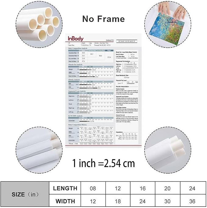 InBody1 Poster Body Composition Analysis Guide, Muscle Mass, Body Fat, BMI, Visceral Fat Level, Basal Metabolic Rate Canvas Painting Wall Art 24x36inch(60x90cm) Unframe-style