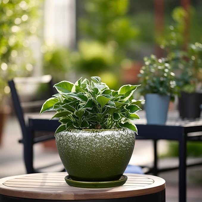 Ceramicfor 6 Inch Plant Pot - Ceramic Planter Pot with Drainage Hole and Saucer, Glaze Succulent Pot Modern Round Flower Pot for Indoor Plants, Dark Green