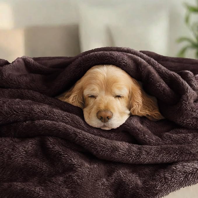 Exclusivo Mezcla Fuzzy Plush Fleece Bed Blanket King Size, Coffee | 104x90 Inches, Super Soft and Cozy Bed Blanket, Fluffy Decorative Bedding for Livingroom, Bedroom, All Season