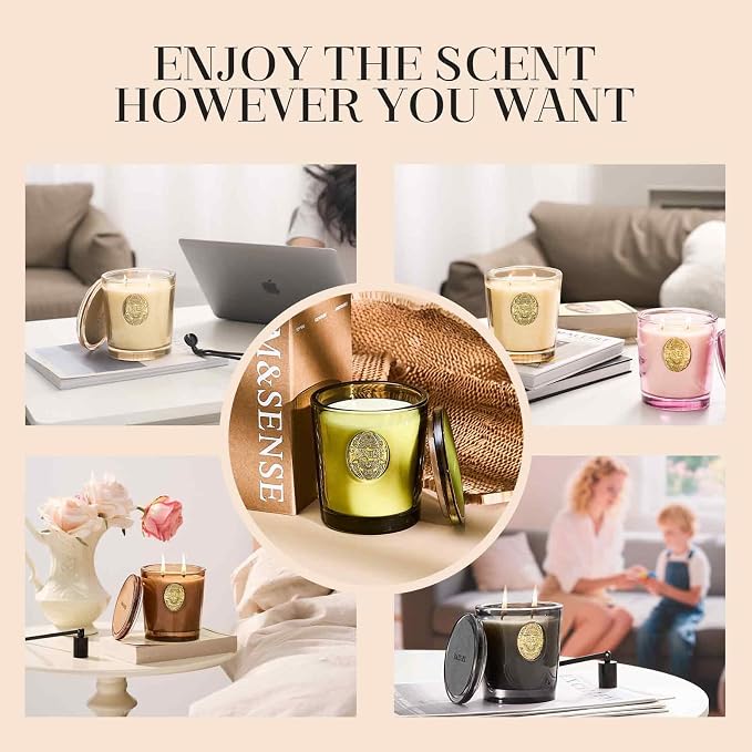 M&SENSE Large Two-Wick Soy Candle | White Tea Sage & Matcha Green | 19.8 oz, 120H Burn Time | Luxury Scented Candle for Relaxation, Gifting, Home Décor | Ideal for Bedroom, Office, Party Ambiance