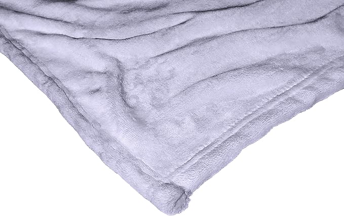 Northwest Disney 100 Silk Touch Throw Blanket, 50" x 60", Celebration Jasmine