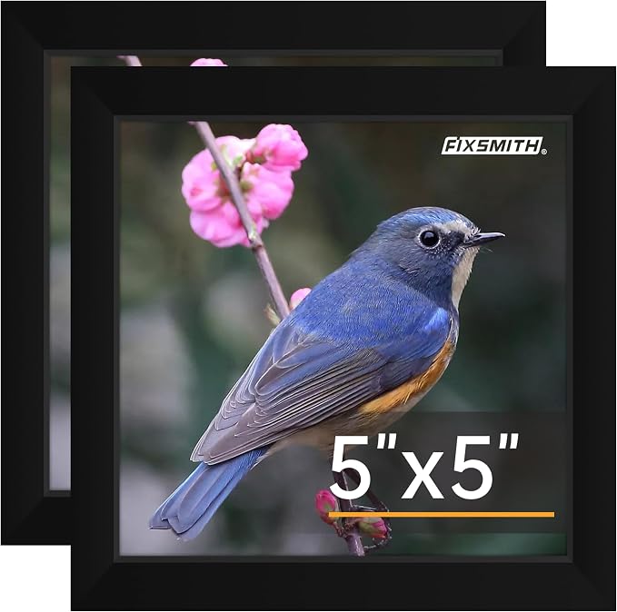 FIXSMITH 5x5 Picture Frame Set of 2, 5x5 Photo Frames with HD Plexiglass for Wall Hanging or Tabletop Display, Black