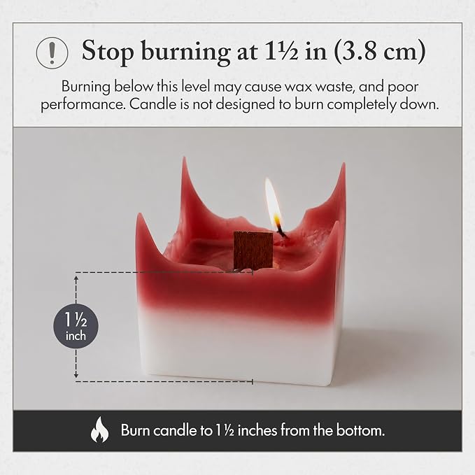 Spiral Candle with Unique Spiral Wick Design, Scented Soy Wax Candle for Home Decor, Gift Ready Decorative Art, Modern Spiral Light Candles for Calm Ambiance for Any Room (Japanese Cherry Blossom)