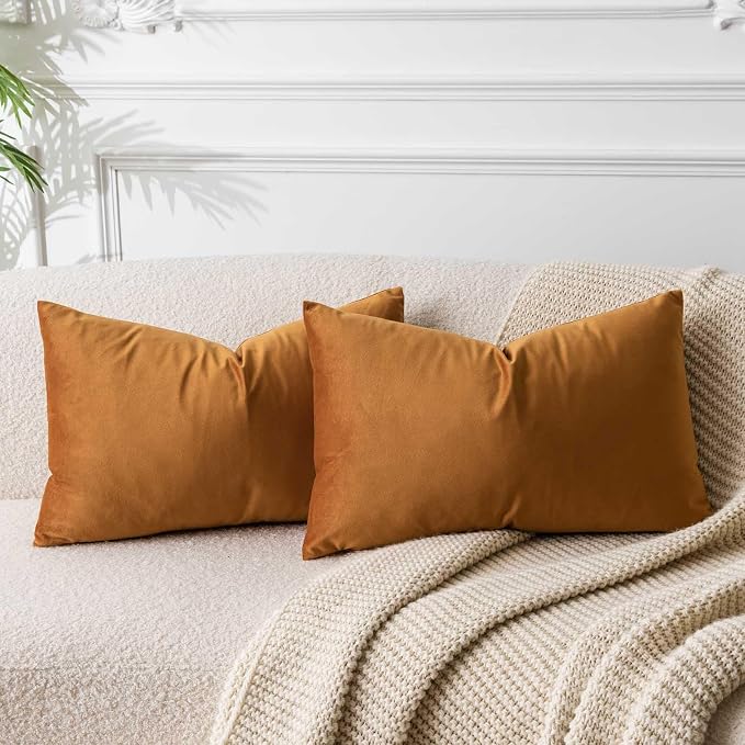 Rust 12x20 Throw Lumbar Pillow Covers Decorative Cushion Covers Set of 2 | Soft Velvet Pillow Cases with Invisible Zipper for Modern Couch Sofa Bed Living Room Bedroom Home Decor